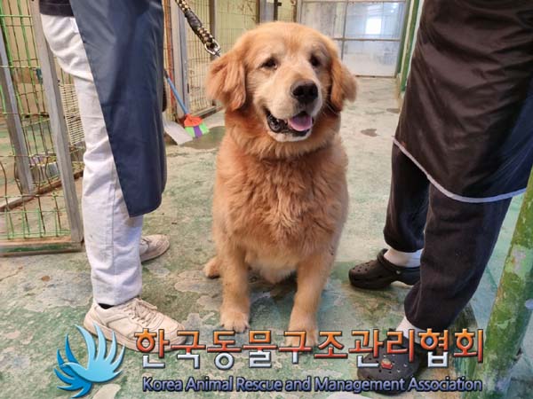 한국동물구조관리협회_411322202400311
